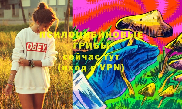 герыч Россошь