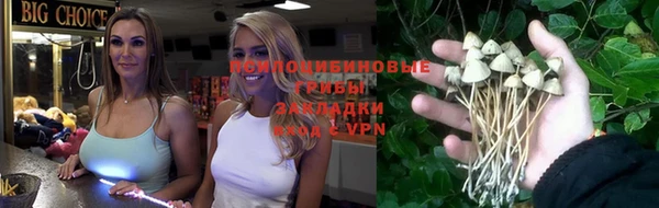 ГАЛЛЮЦИНОГЕННЫЕ ГРИБЫ Ростов