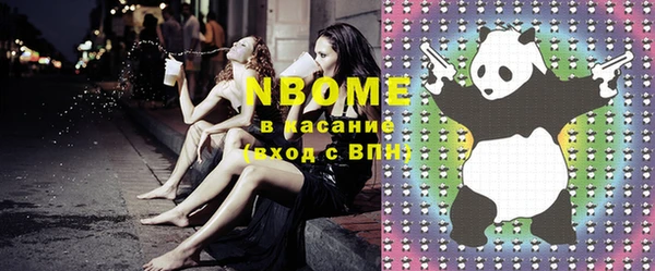 индика Вязьма