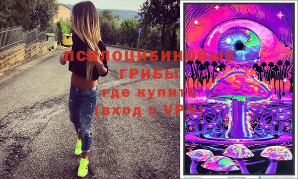 индика Вязьма