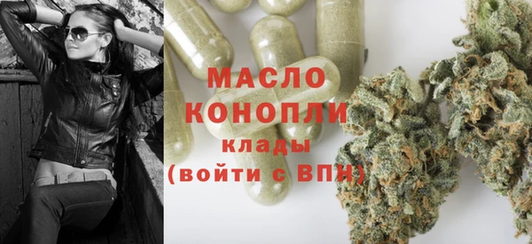 индика Вязьма