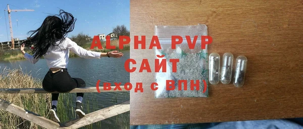индика Вязьма