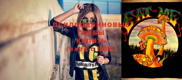 индика Вязьма