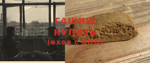 индика Вязьма