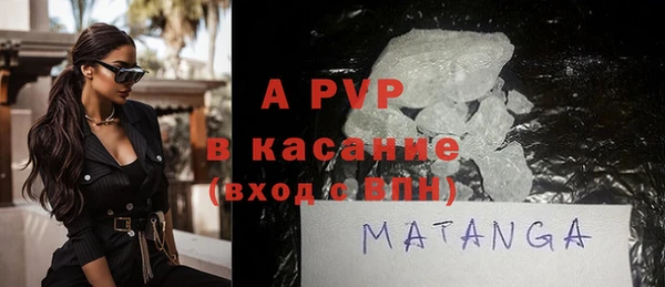 индика Вязьма